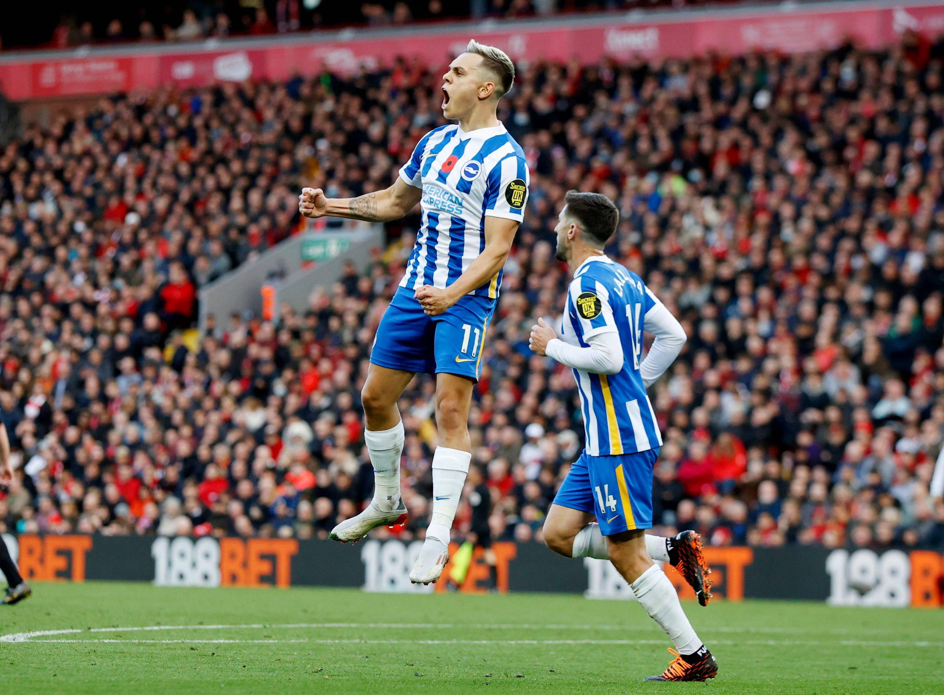 熊的经历可 熊的经历可